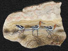 Original Art For Sale