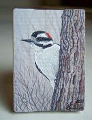 Miniature Paintings